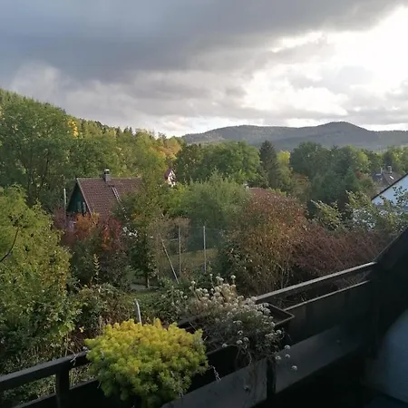 Ferienwohnung Bergblick *